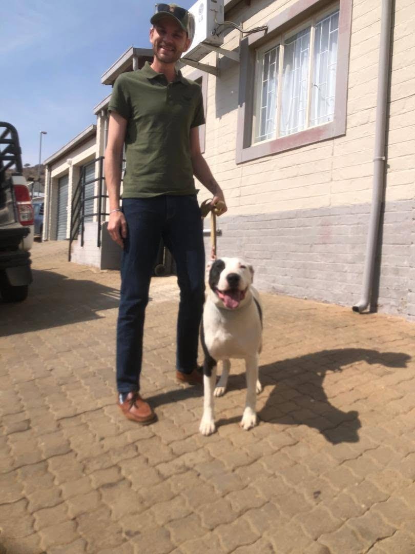 Bista on a lead beside Steven outside the SPCA, tongue out and ready to go