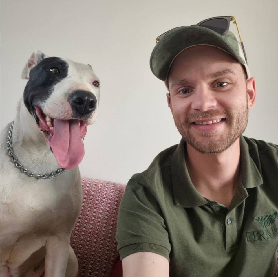 Bista, a black-and-white Pitbull mix, grinning on the couch next to his new owner Steven
